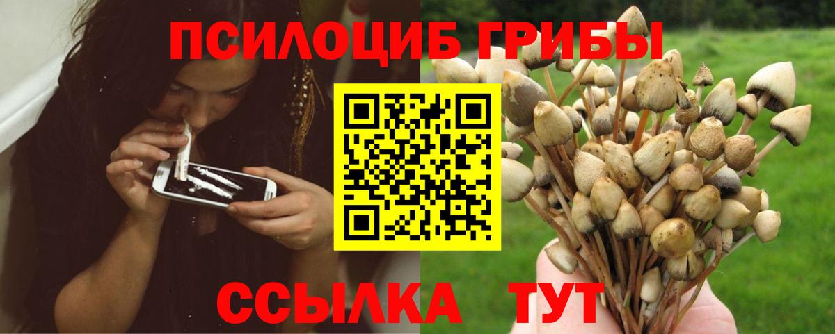 Фролово  где купить наркоту  Вход с VPN  Галлюциногенные грибы мицелий 