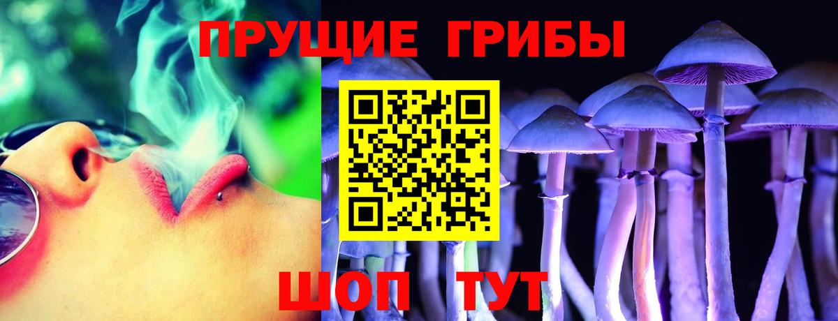 Галлюциногенные грибы GOLDEN TEACHER Фролово